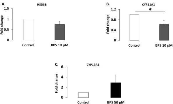 Figure  5.  Effect  of  Bisphenol  S  (BPS)  on  steroidogenic  enzyme  expression.  HGC  underwent  48‐h  culture in the presence or absence of BPS (10 nM, 100 nM, 1 μM, 10 μM or 50 μM). Proteins were then  extracted  and  separated  using  electrophoresi