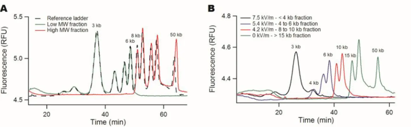 Figure 2: Tunable DNA size filtration in a monocapillary. (A) The chromatograms show the separation of the DNA 