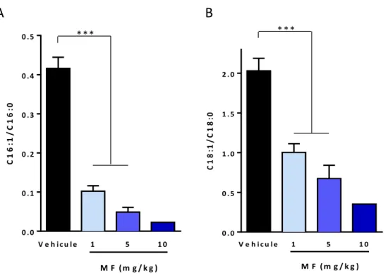 Figure   3.   Eﬀet   du   traitement   sur   l’acDvité   SCD   dans   le   muscle   gastrocnémien   