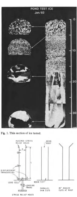 Fig.  1. Thin  section of ice tested. 