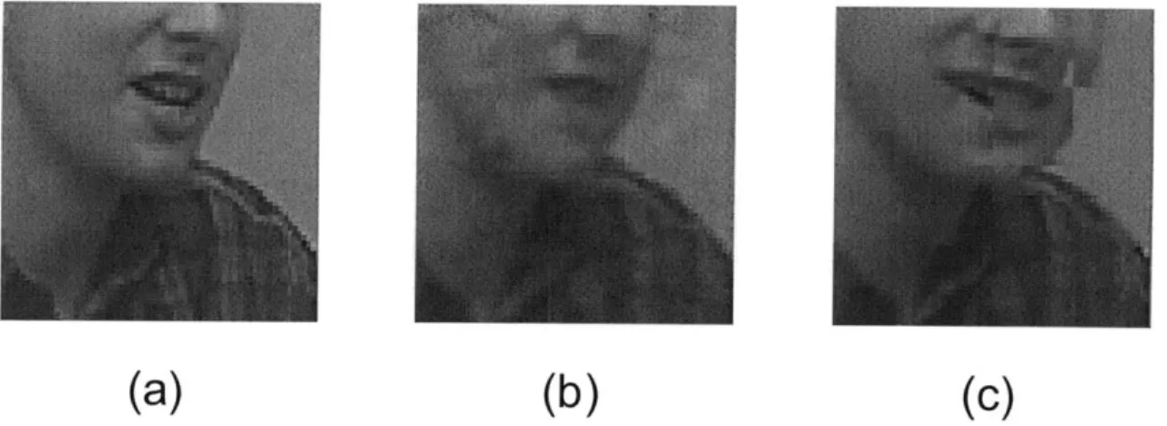 Figure  7-2:  Error Concealment.  (a)  is  the  original  image.  (b)  is  the reconstructed version  with  ChitChat's  error  concealment