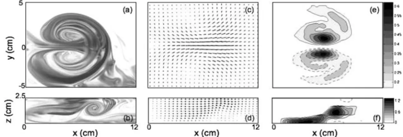 Figure 2 shows the structure of the flow at t = 20 s for a closing time T = 10 s. The main features of the overall flow can be identified from the dye visualizations