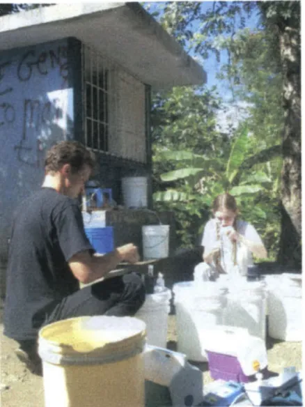 Figure  10 The experimental  field  setup at Bas  Limbe 2, showing  the four top  buckets being  sampled.