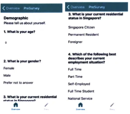 Figure  2-3:  Pre-survey  interface
