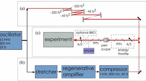 Figure 2.2 – (a) The direct output of the oscillator can be carefully controlled and shown onto the experiment (b) or can be ampliﬁed in energy and reduced in repetition rate