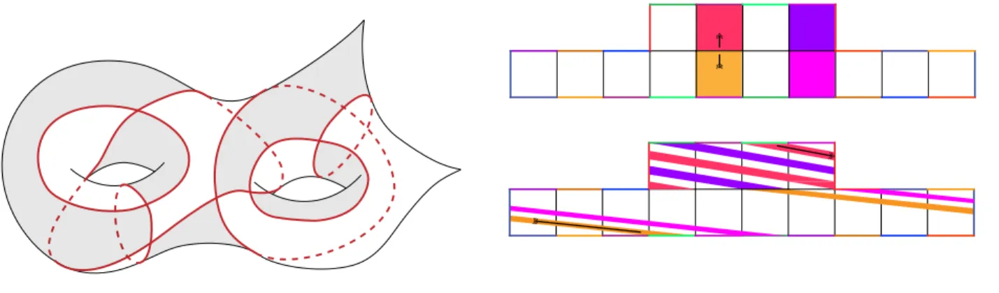 Figure 1. A divide on a genus 2 orbifold O with 2 cone points, and the corresponding Ba’cfi-tiled surface.