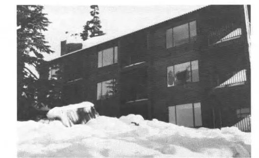 FIG.  3.  Chimney  sheared  from  sloping  metal  roof  by  heavy snow is lying in foreground