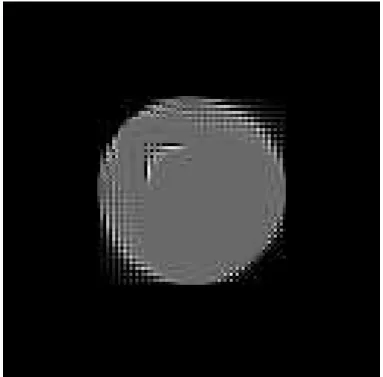 Figure 11. The projection onto a 256 × 256 grid of the exact solution of the continuous BV problem, in “false color”.