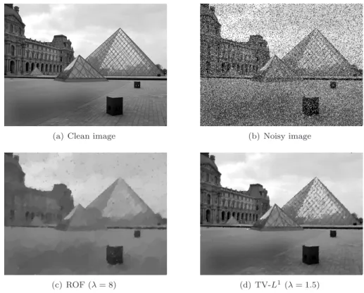 Figure 4: Image denoising in the case of impulse noise. (a) shows the 500 × 375 input image and (b) is a noisy version which has been corrupted by 25% salt and pepper noise