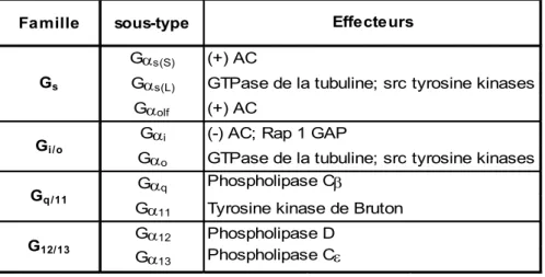 Table 1: Classification des sous-unités Gα α α α et de leurs effecteurs. 
