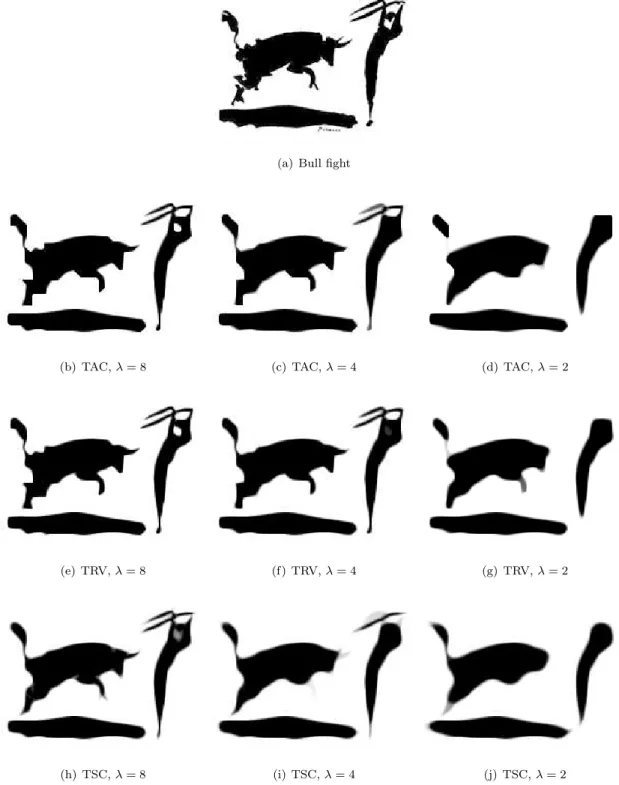 Figure 8: Shape regularization using curvature regularization. (a) shows the original “Bull fight”