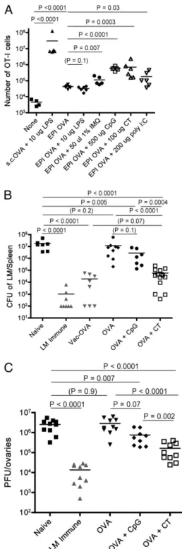 Fig. 1. CT is a potent adjuvant for epicutaneous immunization of protective CD8 T cells