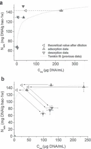 Fig. 6. Effect of pH on the adsorption process in standard conditions of DNA onto biomimetic nanocrystalline carbonated apatite (6 &lt; pH &lt; 9.5).