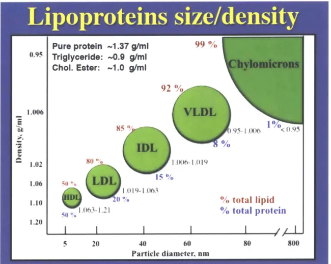 Fig.  1.13.  Sizes  and Lipid Compositions  of  Different  Lipoproteins