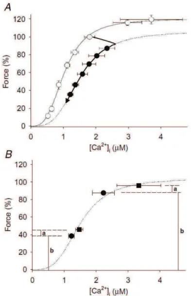 Figure  10.  Relation  force-[Ca 2+ ] i   sur  le  muscle  flexor  digitorum  brevis  de  souris  obtenue  A)  avant  l’exercice  (cercle blanc) fatigant par des stimulations tétaniques de 350ms pour une fréquence de 15 à 150 Hz, et après la  fatigue  (cer