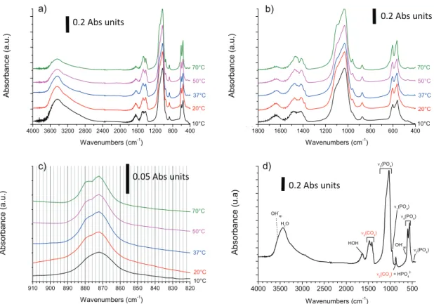 Fig. 2. FTIR spectra for carbonated apatite reference compoundss: a) typical spectra obtained for various maturation temperatures (for 15 days of maturation), b) zoom on the 400e1800 cm 1 range, c) detail on the n 2 (CO 3 ) region, d) indexation of bands 