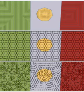 Fig. 6. Closeup on two cells of the three connected, bridgeless planar graph.