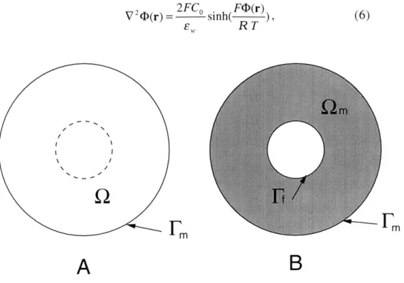 Figure  3.5:  The  PB  unit  cell  and  boundary  conditions.  A.  GAG  surface  (dotted circle)  and  a  unit  cell  boundary  (solid  circle)