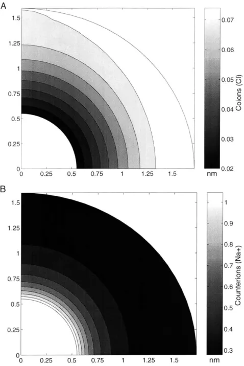 Figure  3.8:  The  concentrations  of  co-  and  counter-ions  were  calculated  using  the Boltzmann  equation  (Equation  4)  and  the  computed  electrical  potential  obtained  in Figure  7.