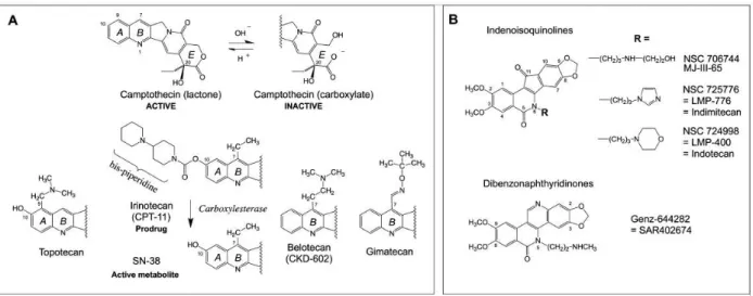 Figure  6:  Structures  of  some  Top1  inhibitors.  (A)  Camptothecins.  (B)  Non-camptothecin  Top1  inhibitors  in  clinical  trials