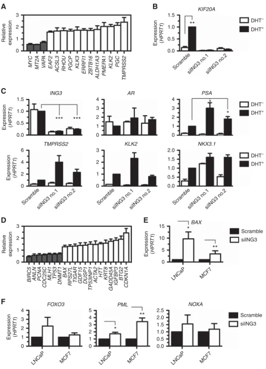 Figure 5. ING3 regulates a subset of AR-responsive genes and p53-responsive genes. (A) The microarray gene expression analysis identified a number of AR-target genes that are regulated by ING3
