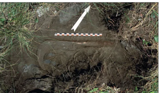 Fig. 4. Liddes. Mur (dit) d’Hannibal, zone extérieure sud, sondage 18, fouilles 2015.