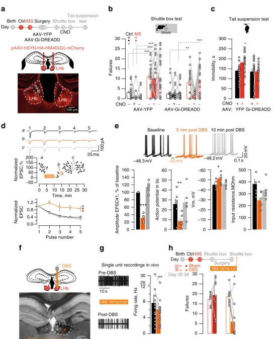 Fig. 4 Chemogenetic and DBS approaches reduce LHb activity and ameliorate MS-dependent depressive-like symptoms