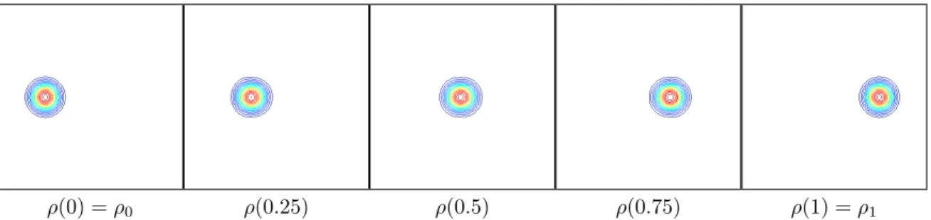 Figure 5. Plot of the isolevels of the density ρ(t) along the optimal path computed with the method of [3] and Dirichlet conditions, which prevents from mass splitting.