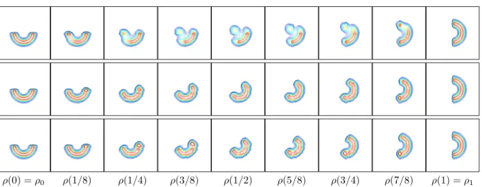 Figure 16. Curve experiment. Plot of the isolevels of the density ρ(t) along the optimal path computed with different approaches