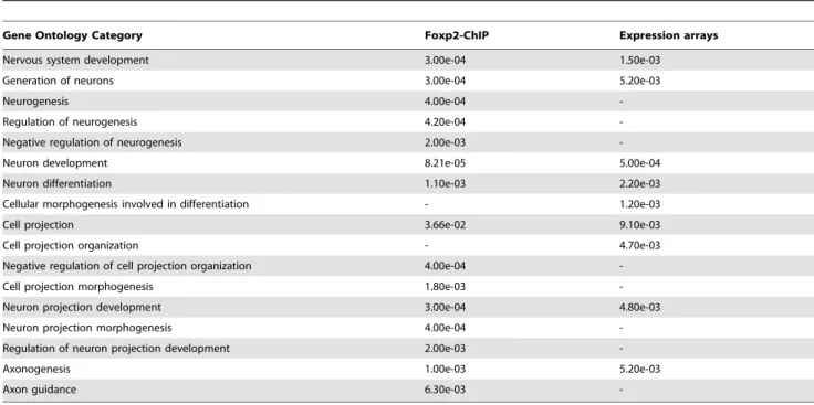 Table 2. GO categories significantly over-represented in Foxp2-ChIP (Table S2) and expression profiling (Table S4) datasets.