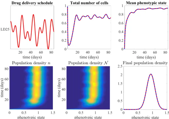 Figure 1: Numerical solutions illustrating the results of Proposition 1. Upper row. Graph of the drug delivery schedule u(t) given by equation (4.2) that has been used to carry out numerical simulations (left panel);