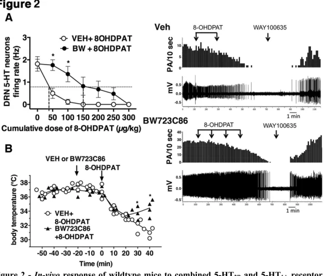 Figure 2 -  In-vivo response of wildtype mice to combined 5-HT 2B  and 5-HT 1A  receptor  agonists - A)  In-vivo extracellular electrophysiological recordings of putative raphe neurons  in  anesthetized  wildtype  mice