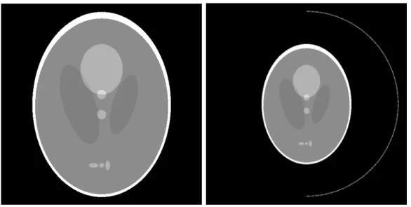 Figure 4: The Shepp-Logan phantom. Left: only the phantom (512 ✂ 512 pixels). Right: