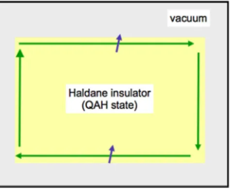Fig. 3. Haldane insulator (see Section 4.3) is characterized by a robust chiral edge state (green arrows)