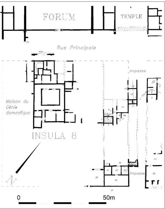 Fig. 12 – Martigny, Forum Claudii Vallensium. Chantier «Verger 2013», insula 8. Extrait du plan archéologique: insula 8 et alentours avec nomenclature des espaces dégagés en 2013.