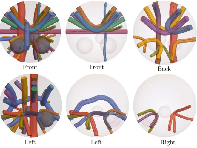 Figure 9: Visualization of the ISBI dataset from different viewpoints. The two left-most images show the full dataset, the other four images show a selection of the bundles