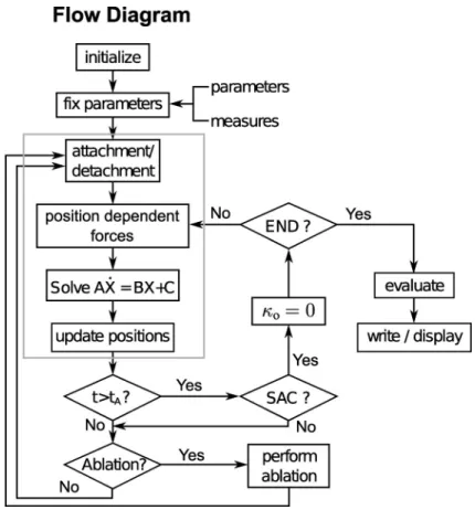 Figure S2.  Flow chart diagram of the simulation.