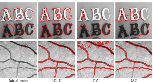 Fig. 5.4: Grayscale images segmentation. Final curves of our un-normalized model NL-U, CV and IAC.