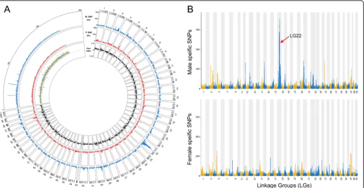 Fig. 2 Sex determining regions identified by remapping the Pool-seq male and female reads onto the female genome assembly