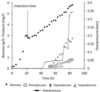 Fig. 8. Kinetics of production of biomass (◆), pentadecane (□), heptadecane (∗), heptadecene (△) and overpressure ( ) during fed-batch of C