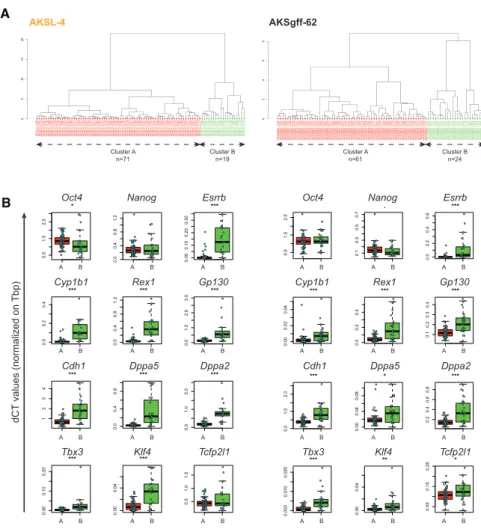 Figure 6. Single-Cell Pluripotency Gene Expression Profiling of AKSL-4 and AKSgff-62 Cells