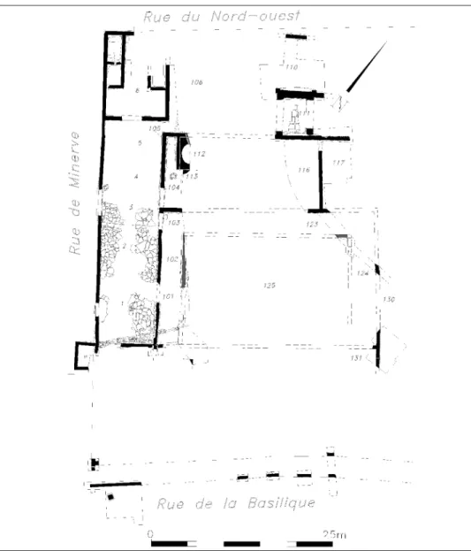 Fig. 5 – Martigny. Plan du secteur occidental de l’insula 13, après les fouilles de 2011