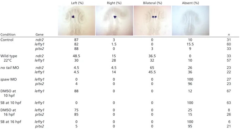 Table 1. Laterality of ndr2, lefty1 or pitx2 expression in the epithalamus