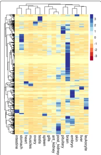 Fig. 5 miRNA expression in the 16 tissues. Unsupervised average linkage clustering analysis of miRNA isoforms in rainbow trout tissue.