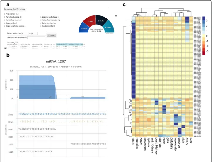 Fig. 7 novel miRNAs in rainbow trout: prediction and tissue distribution. a The illustration shows sequence and structure statistics of one predicted miRNA precursor as an example