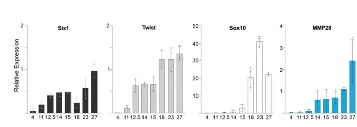 Figure 1: Expression of MMP28 assessed by qPCR. 