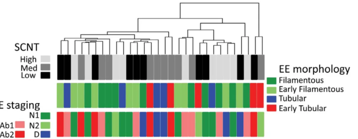 Figure 7. KLF4 and ACVR2A discriminate among normal and abnormal SCNTs. A) Box plots of KLF4 and ACVR2A expression in normal and abnormal SCNTs