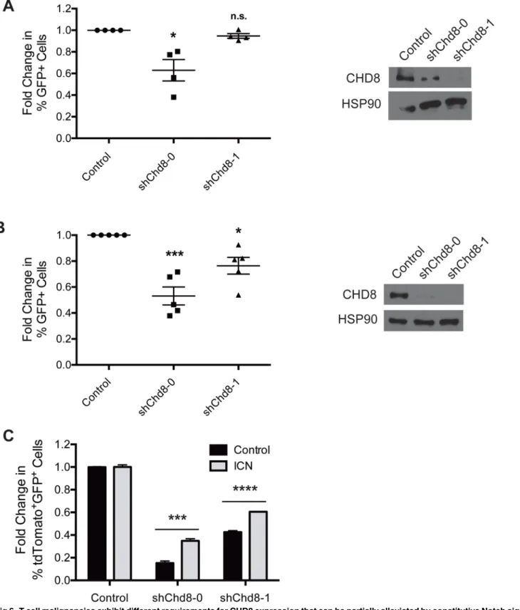 Fig 6. T cell malignancies exhibit different requirements for CHD8 expression that can be partially alleviated by constitutive Notch signaling