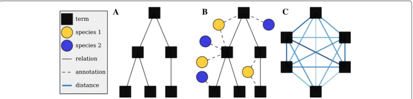 Fig. 2 Calculating distances. a Represent a specific aspect of the GO (e.g. biological process) as a directed acyclic graph with solid edges
