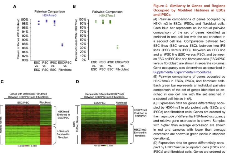 Figure 2. Similarity in Genes and Regions Occupied by Modified Histones in ESCs and iPSCs